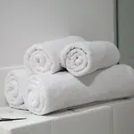 Homewell Wilson Park Apartment Poznan